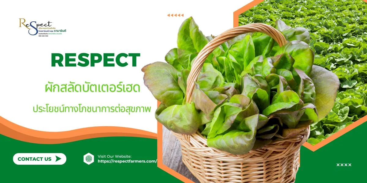 บัตเตอร์เฮด