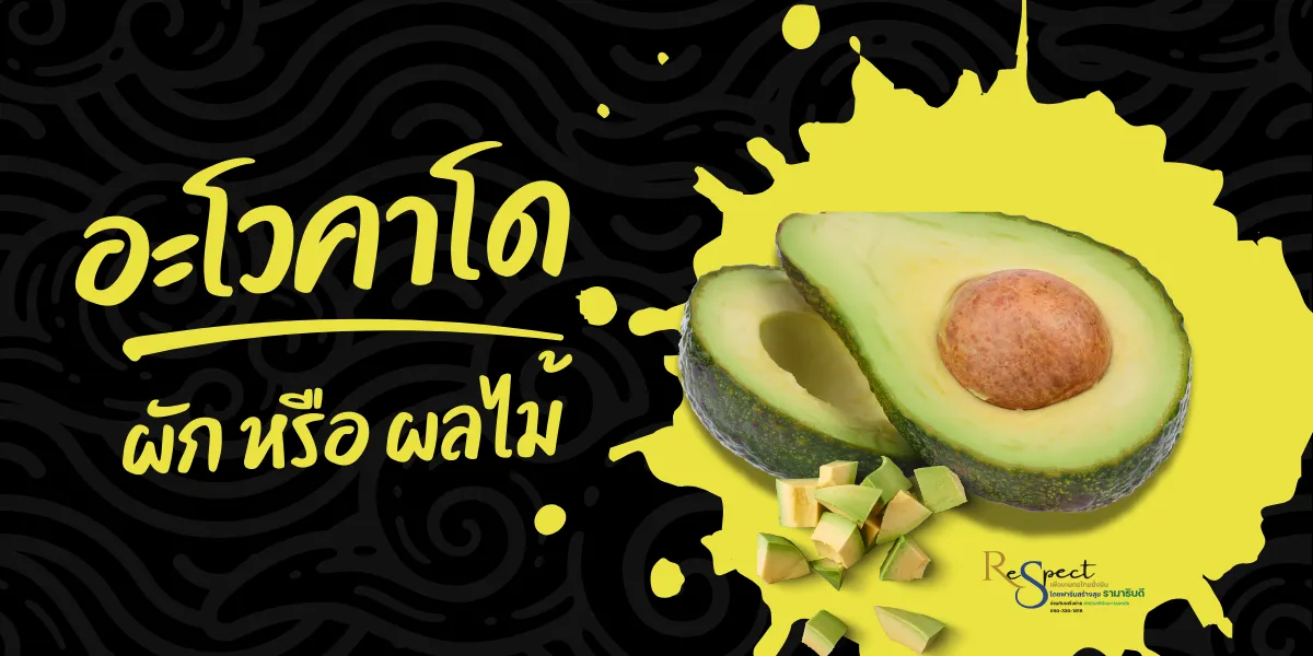 อะโวคาโด
