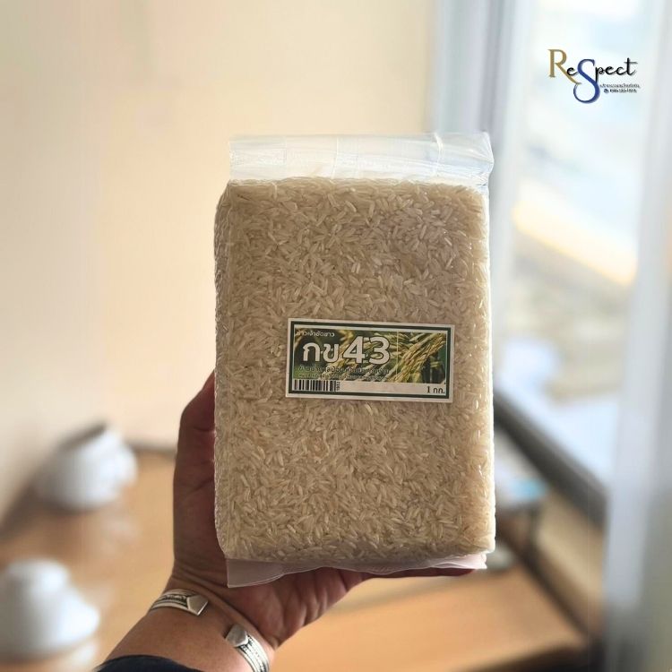ข้าว กข 43